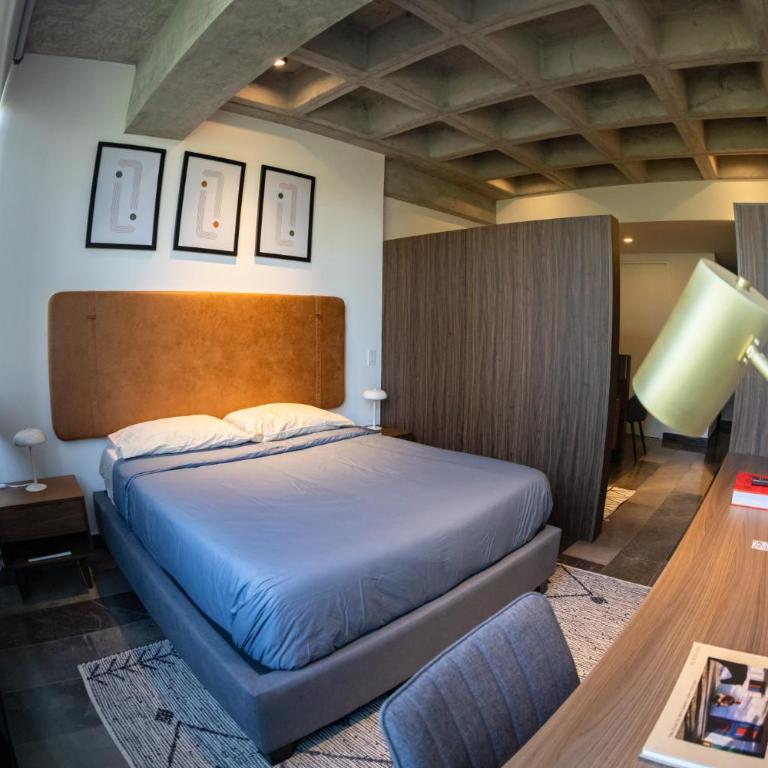 Modern Loft in Roma Norte, Zona Trendy - Apartamento de 1 dormitorio - 1