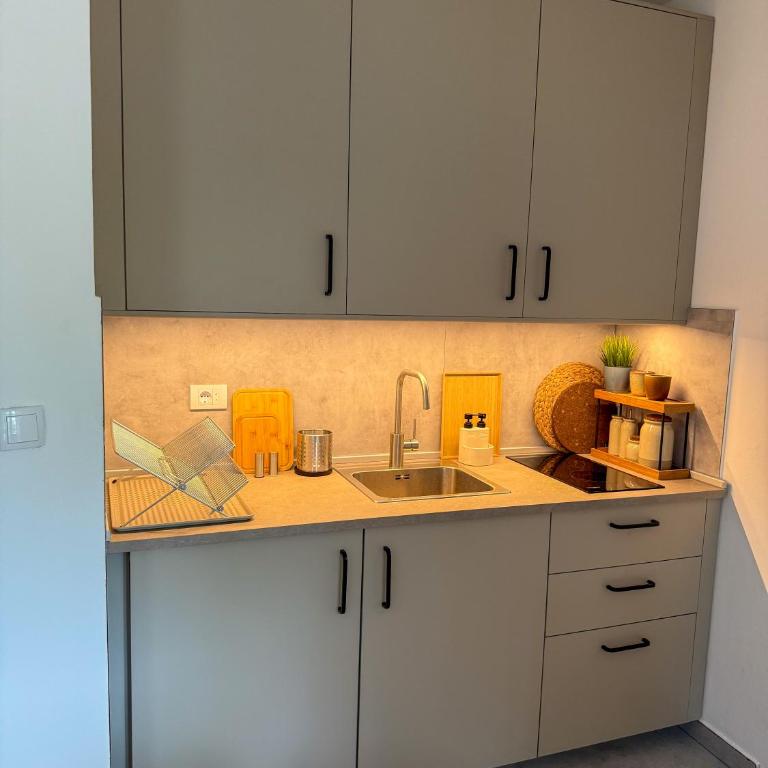 Apartman 7 - Apartman sa 1 Spavaćom Sobom i Pogledom na Park - 10