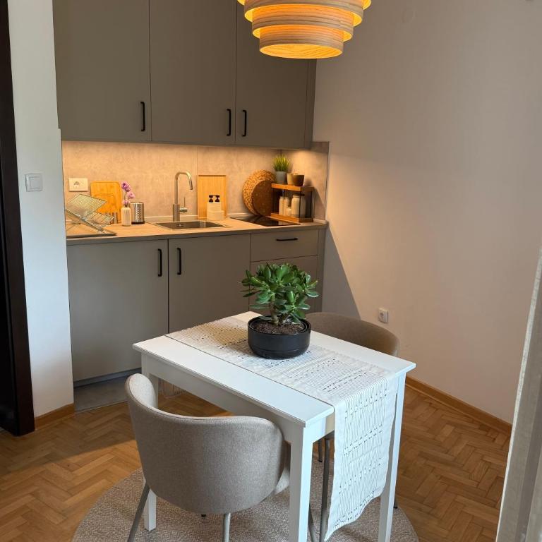 Apartman 7 - Apartman sa 1 Spavaćom Sobom i Pogledom na Park - 4