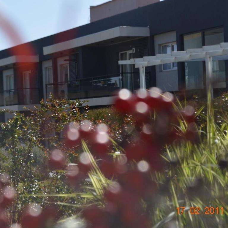 La golondrina - One-Bedroom Apartment - 27