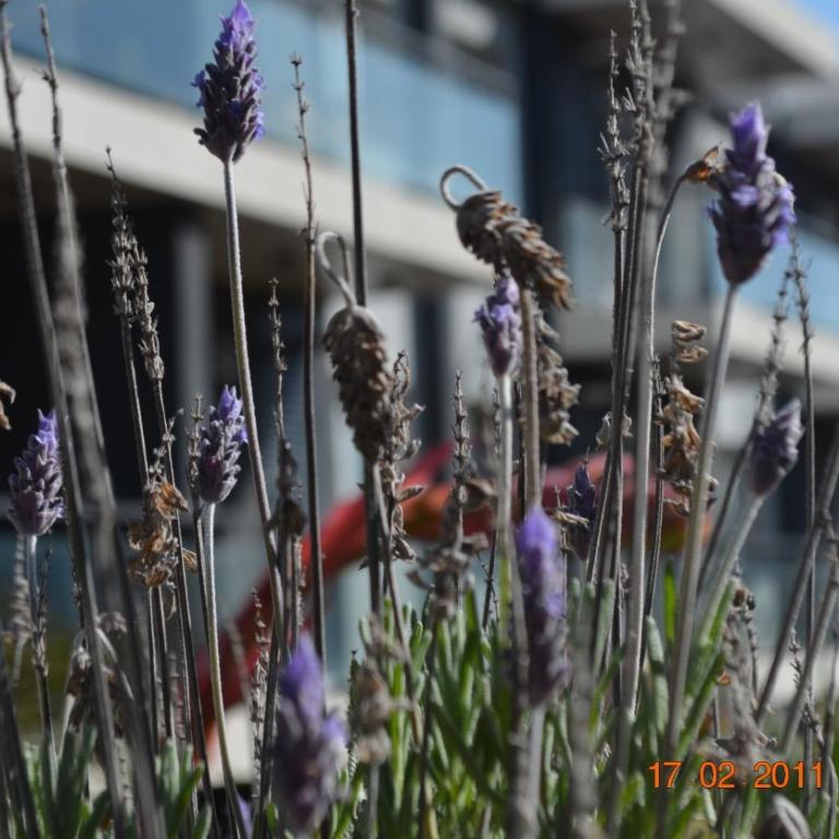 La golondrina - One-Bedroom Apartment - 26