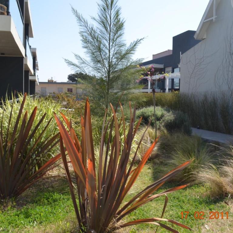 La golondrina - One-Bedroom Apartment - 24