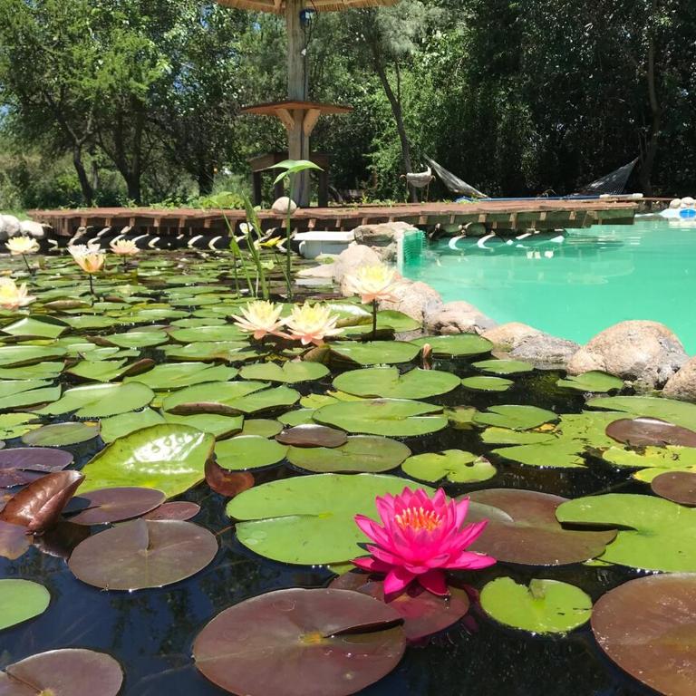 La ilusion frente al Cerro Champaqui - Casa de 3 dormitorios - 20