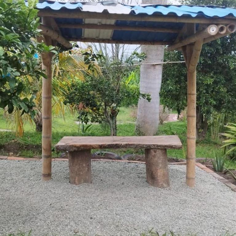 Finca en el Quindío - Arrullo Cafetero - Casa - 4
