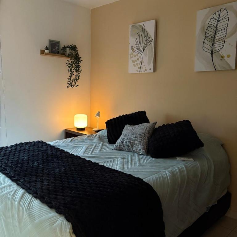 Guadalajara Depa - Zoo - Apartamento de 2 dormitorios - 3