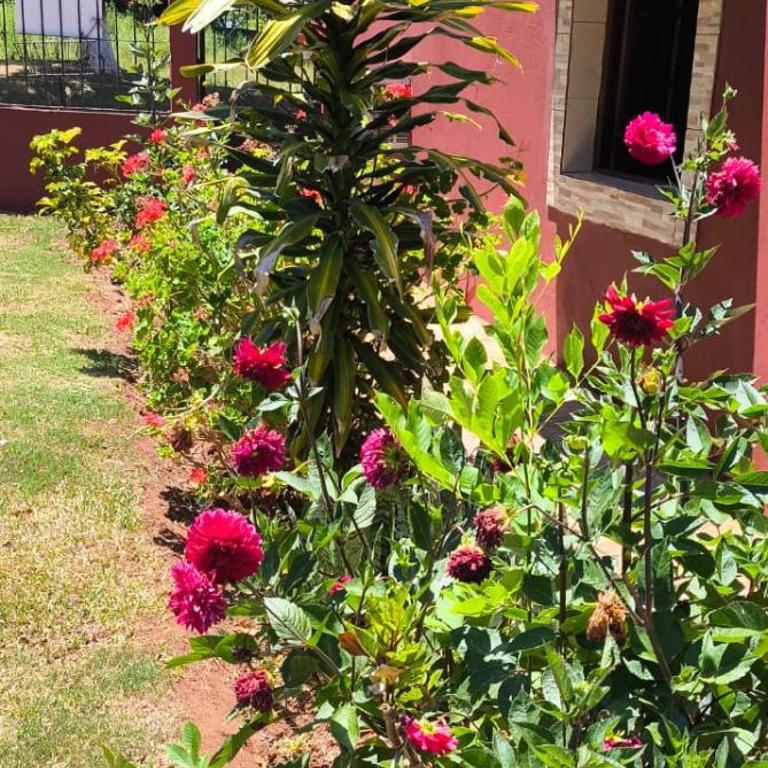 Lo de Toty 2 - Casa con 1 dormitorio - 17
