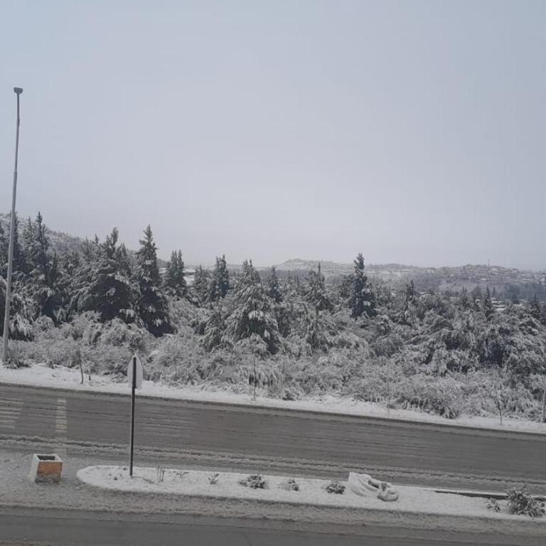 Esquina Sur - Casa de 2 dormitorios - 31