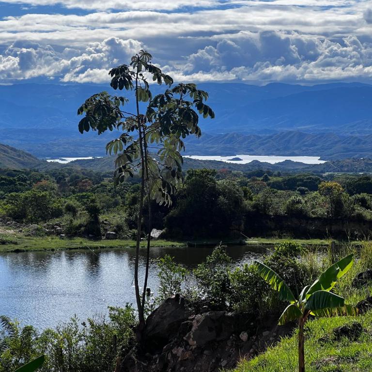 Cabaña Finca La Manuela1 - Two-Bedroom Chalet - 40