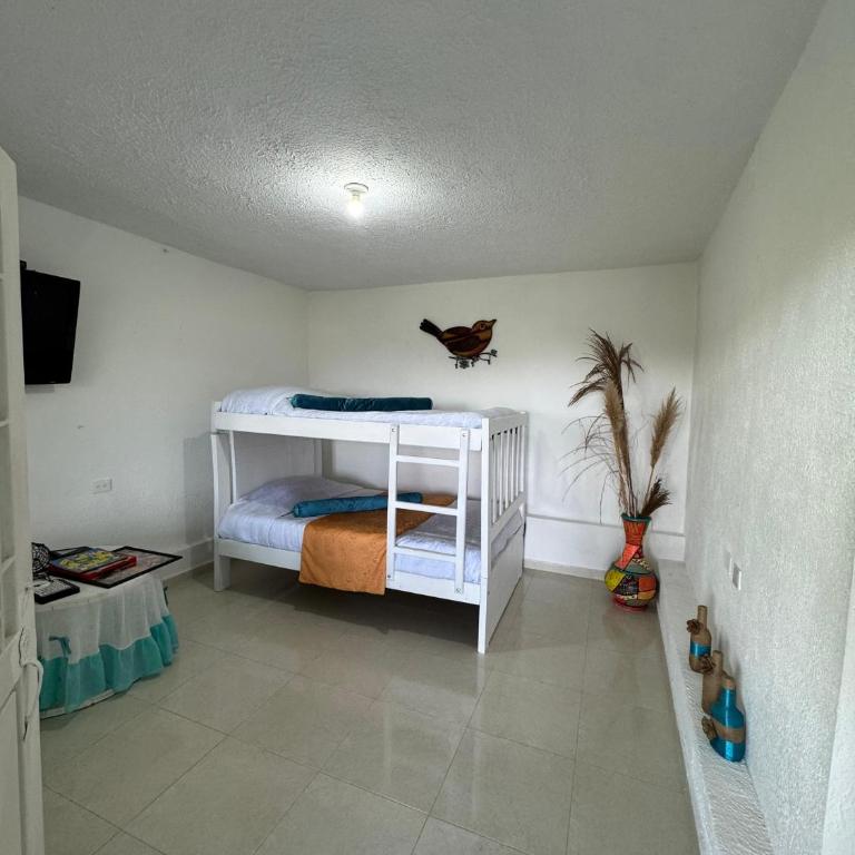 Manaju - Finca Campestre y Glamping - Habitación Doble con baño privado - 6