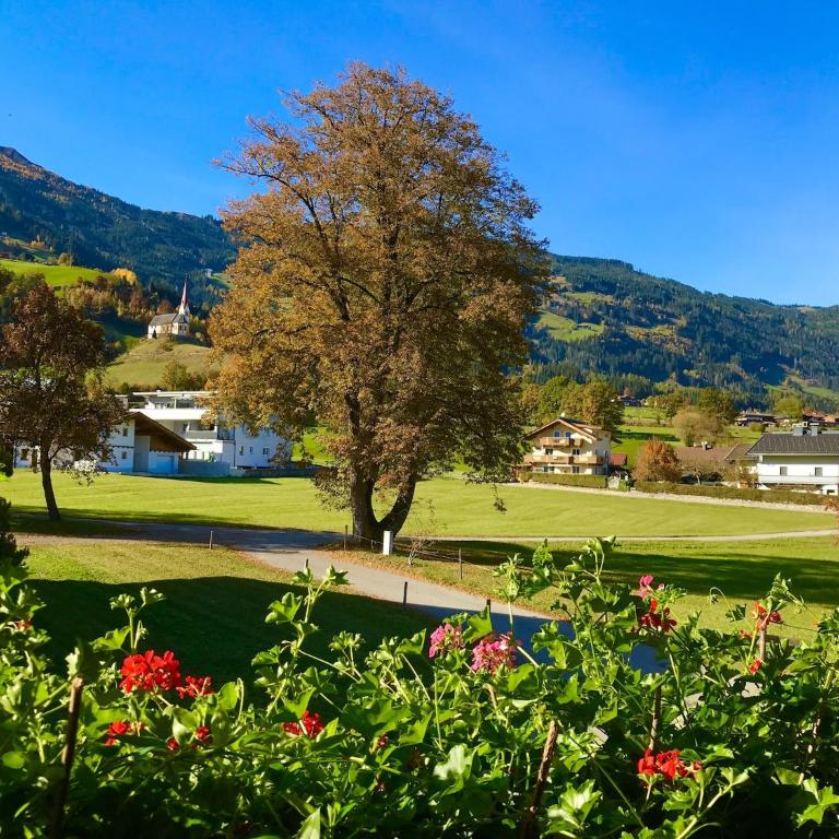 Beautiful apartment in Fugen Zillertal - Apartment mit 6 Schlafzimmern - 24