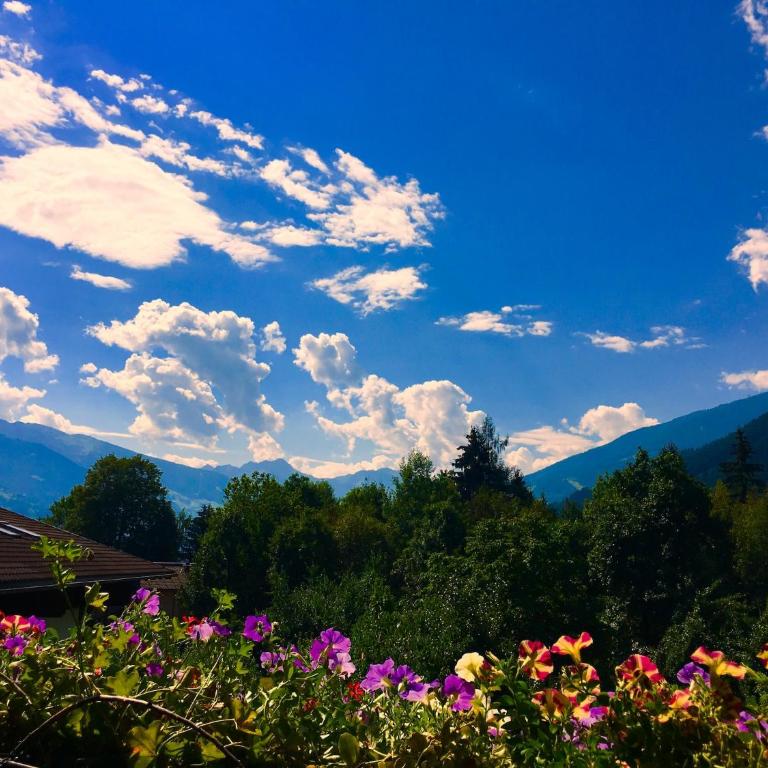 Beautiful apartment in Fugen Zillertal - Apartment mit 6 Schlafzimmern - 25