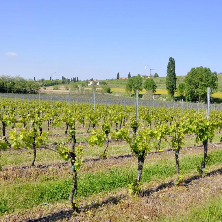 Holiday Home in Lazise near Lake Garda - Casa Vacanze con 3 Camere da Letto - 32