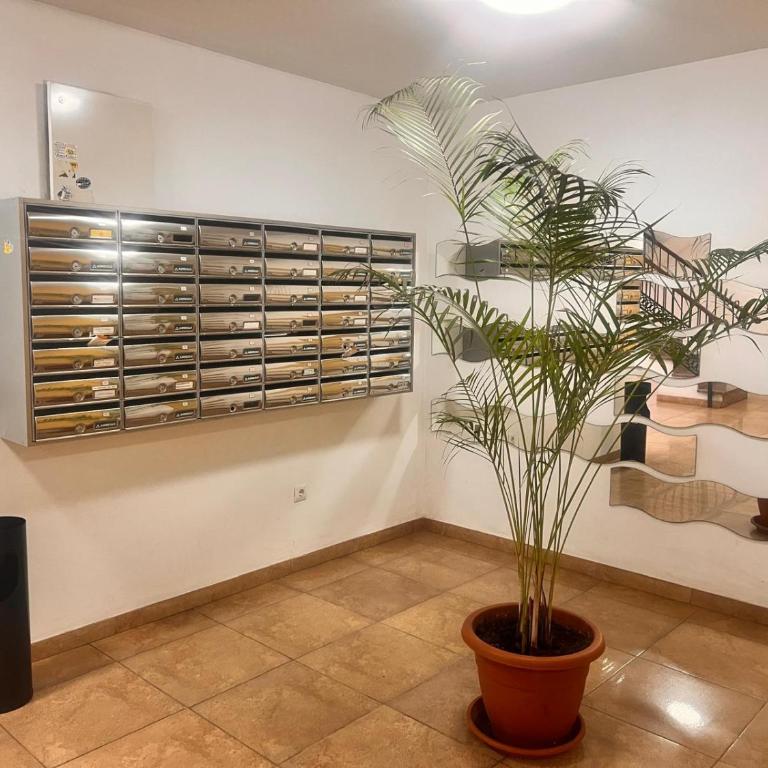 Beautiful 1 Bedroom Apartment Benalmadena - Apartamento de 1 dormitorio - 37