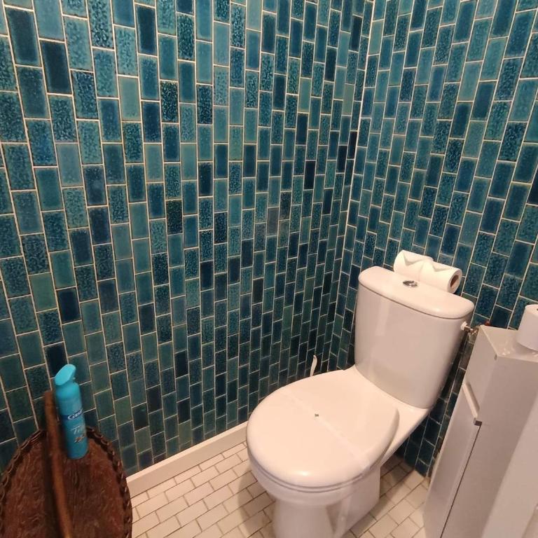 Studio spacieux proche pistes, animaux et parking - FR-1-445-63 - Estudio - 9