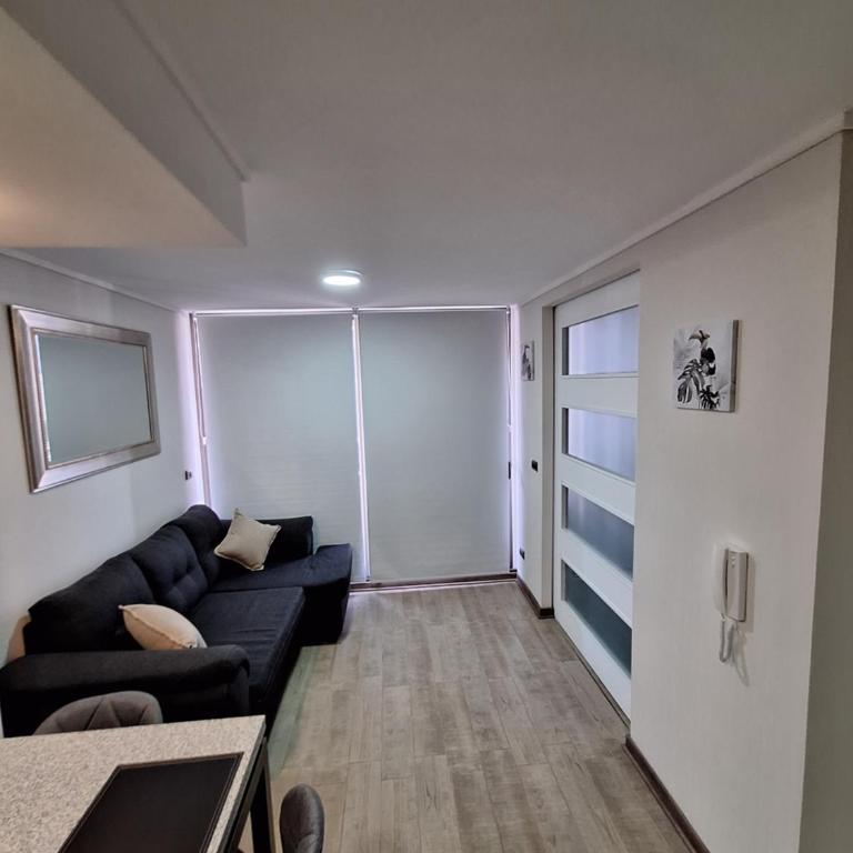 Departamento en Santiago - Apartamento de 1 dormitorio - 15