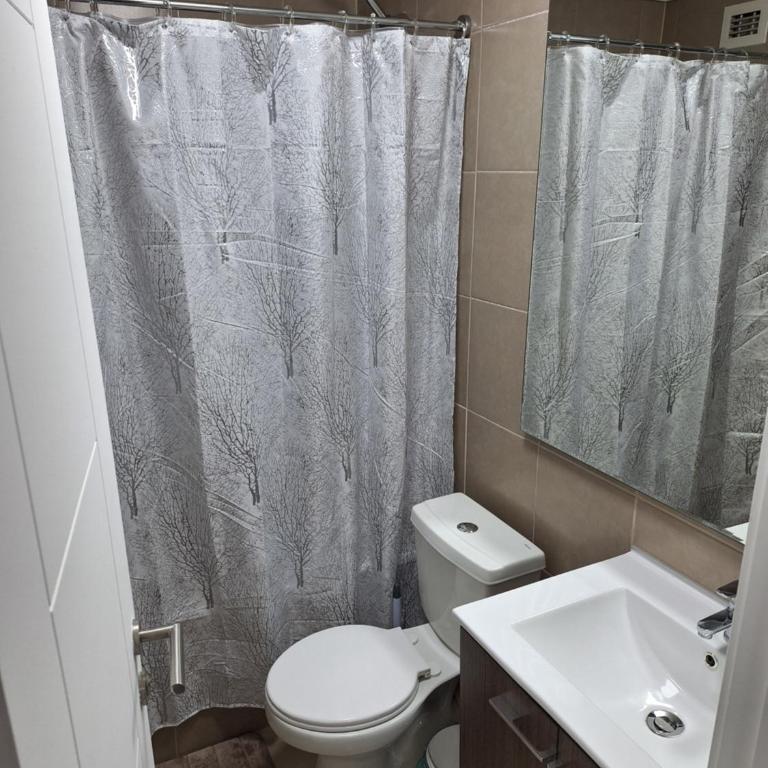Departamento en Santiago - Apartamento de 1 dormitorio - 10