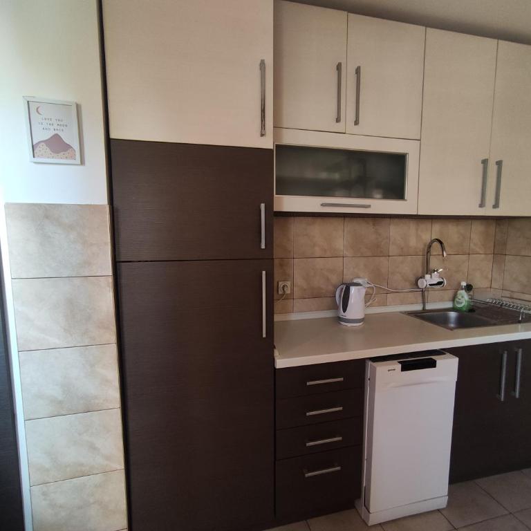 Sunny Banja Luka - Apartman sa 1 Spavaćom Sobom - 12