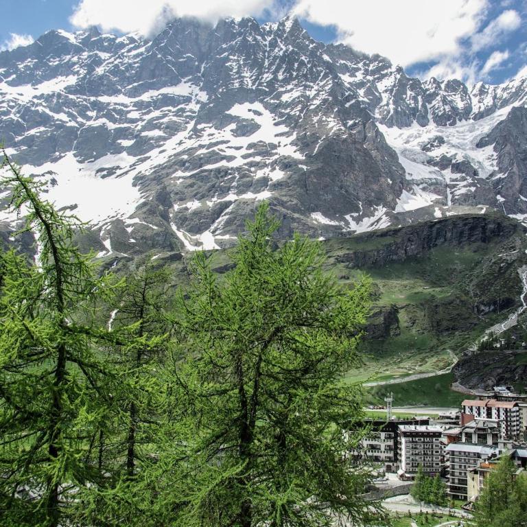 Ski, stay, and savour Aosta Valley - Appartamento con 1 Camera da Letto - 26
