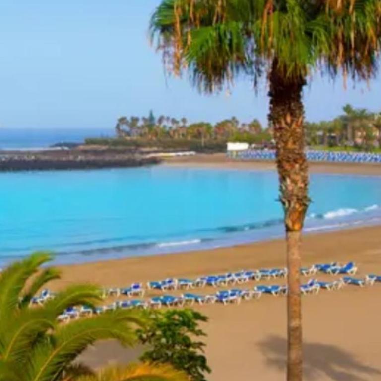 Atico Summerland - Los Cristianos - Apartamento de 1 dormitorio - 17