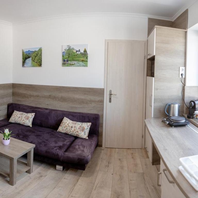 HunGasthaus 05&06 - Apartment mit 1 Schlafzimmer - 6