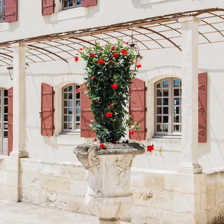 Le Mas Caladoc Luxury Retreat with Private Spa in Provence - Casa - 9
