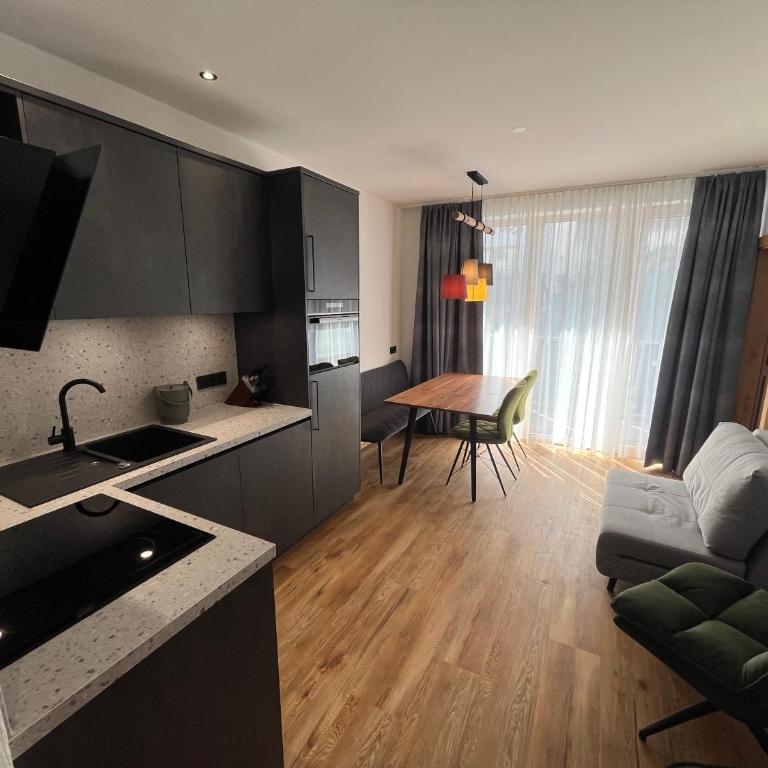 Alpenblick Suites 3 - Appartement 1 Chambre - 3