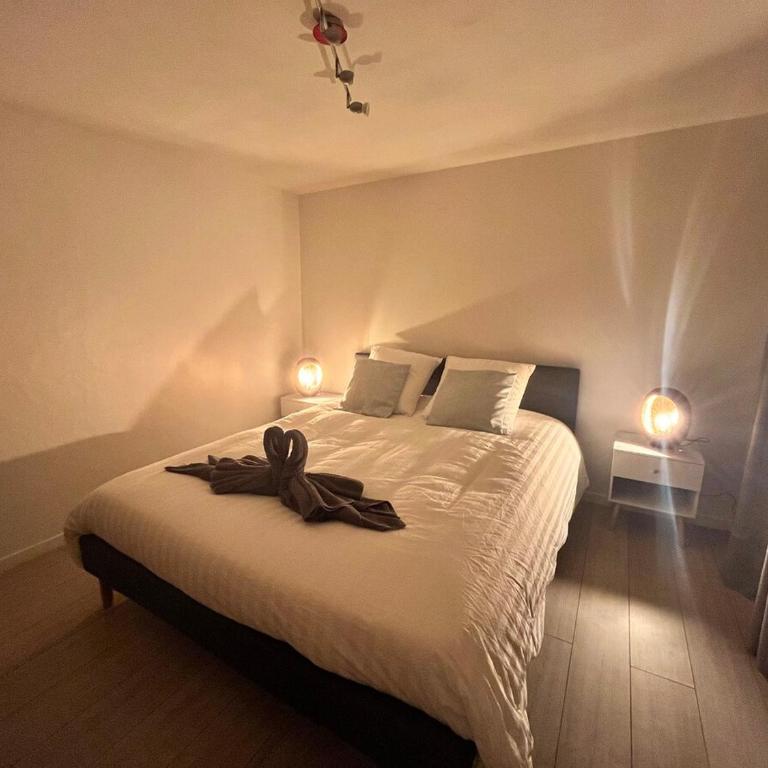 Appartement climatisé Saint etienne de Cuines - Appartement 3 Chambres - 5