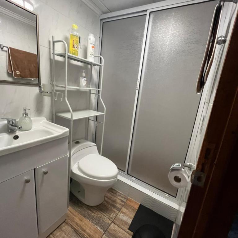 DeptosGuacolda - Apartamento de 2 dormitorios - 1