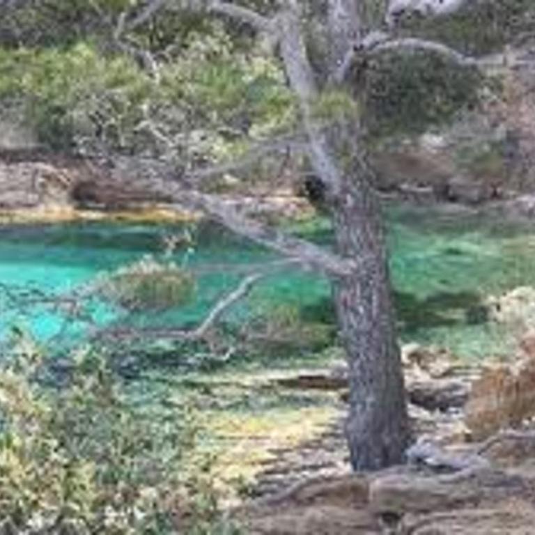 Bright house close to the calanque - Maison de Vacances - 21