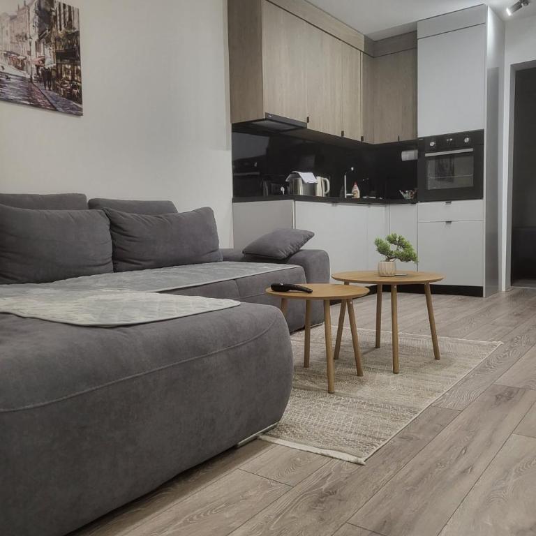 Sarajevo Parking Free - Apartman sa 1 Spavaćom Sobom - 32