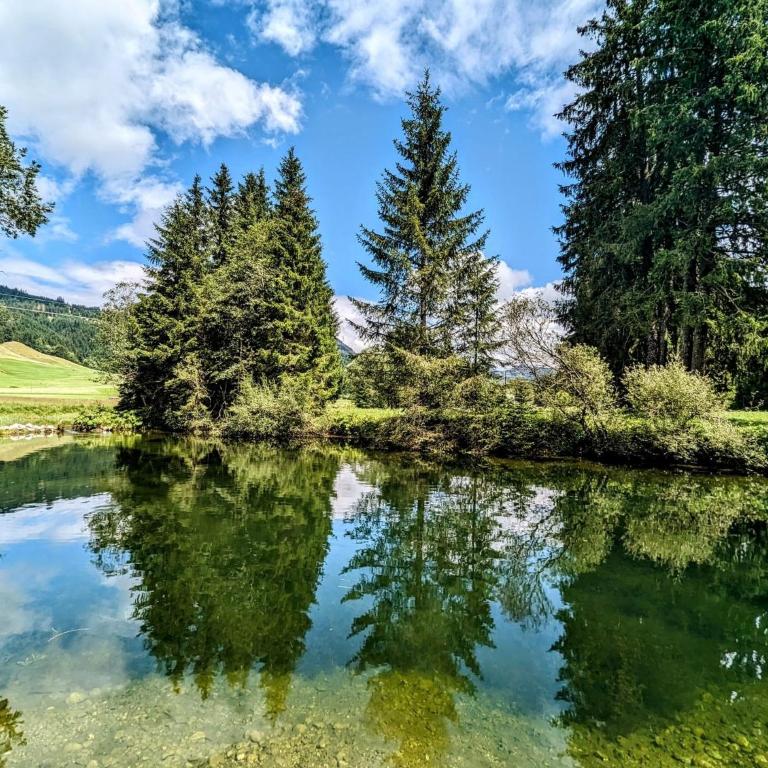 NEU FeWo Rottachblick - Apartment - 43