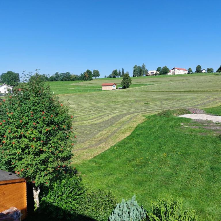 NEU FeWo Rottachblick - Apartment - 31