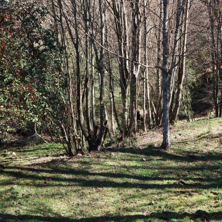 Lila Casas de Montaña - Chalet de 2 dormitorios - 4