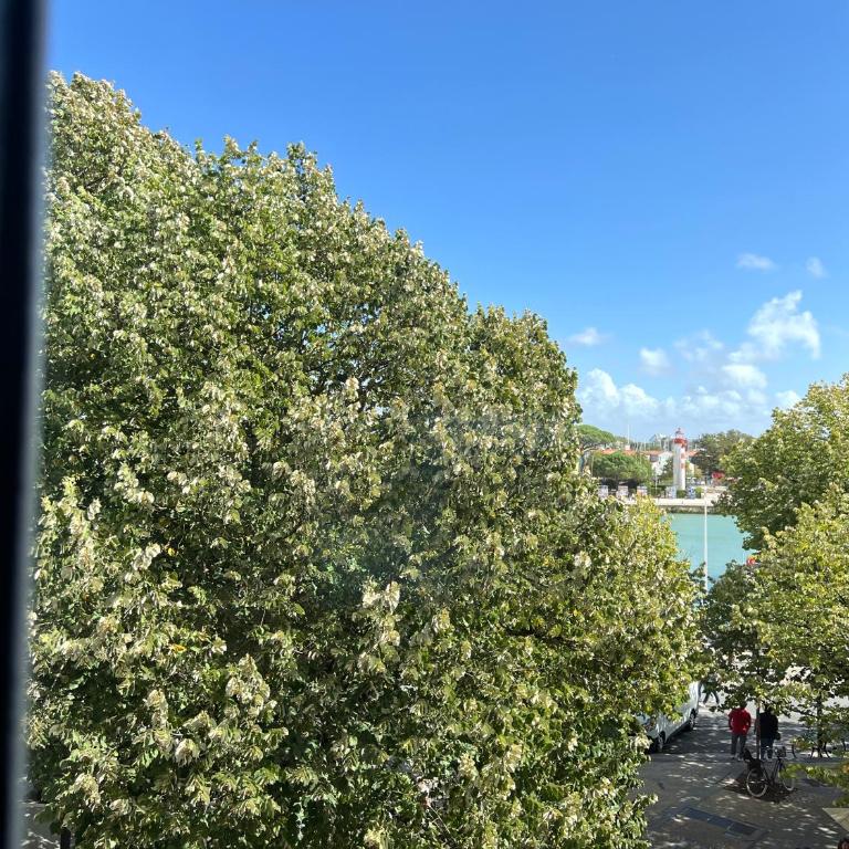 ღ Le Nérée - Au cœur du vieux port et cosy - Appartement 2 Chambres - 4