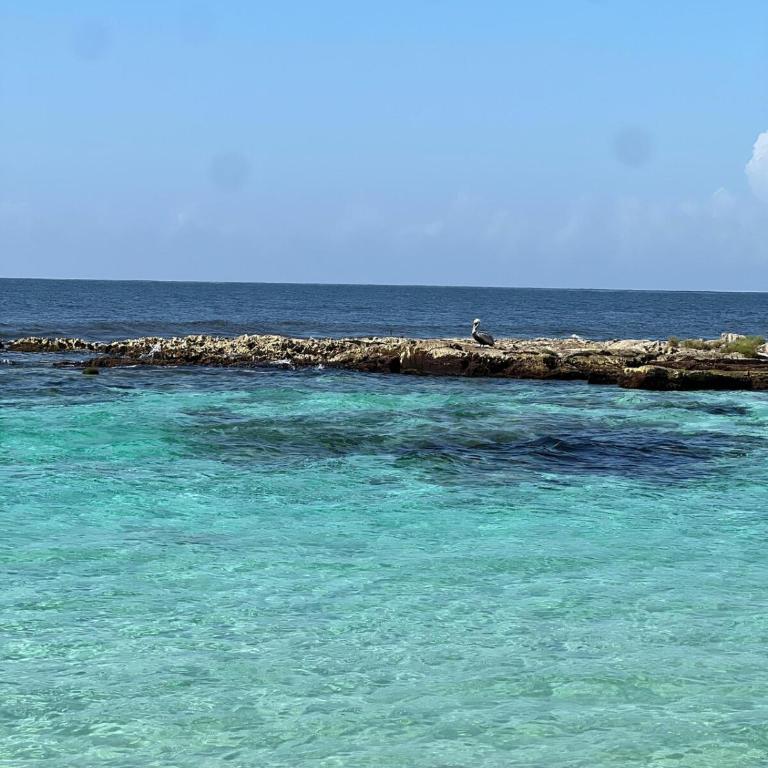 Beachfront Condominium in Tulum - Apartamento de 2 dormitorios - 29