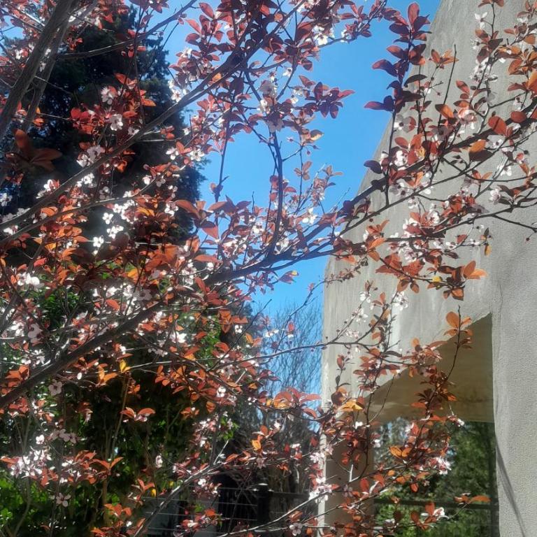 Un lugar para disfrutar - Casa de 3 dormitorios - 20