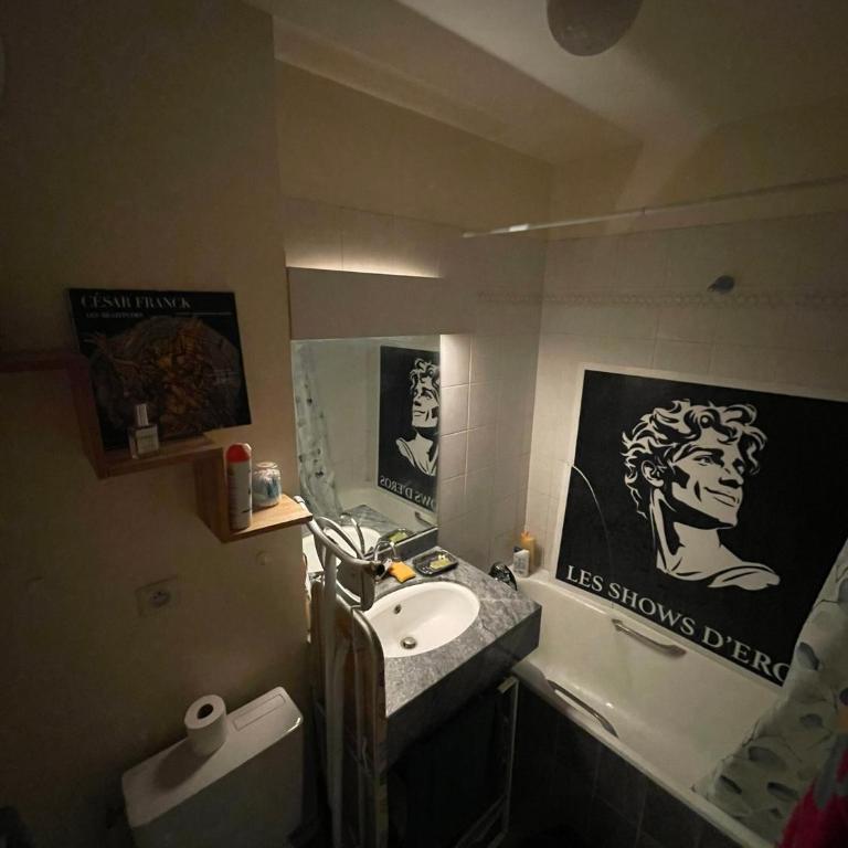 Appartement 26m2 Parisien Canal St Martin - Appartement 1 Chambre - 4