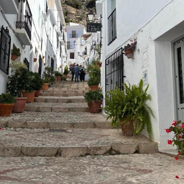 Casa Pura Vida jardin - Apartamento de 2 dormitorios - 41