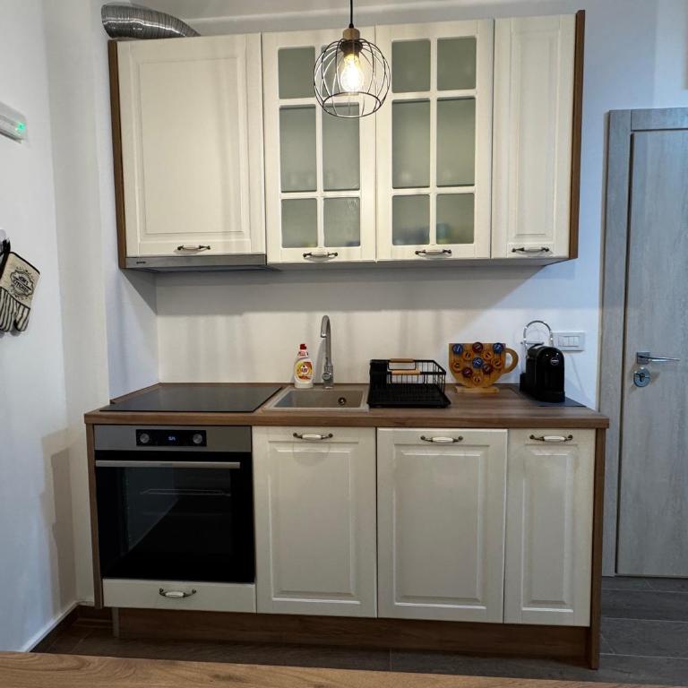 Galeb Family Apartments - Deluxe One-Bedroom Apartment with Garden View - 5