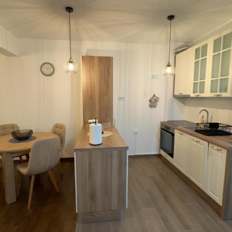 Galeb Family Apartments - Deluxe One-Bedroom Apartment with Garden View - 10