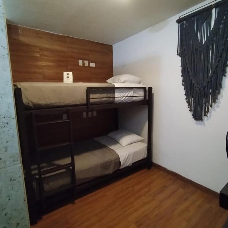 Hotel Sonno Plaza Allende - Single Room - 1