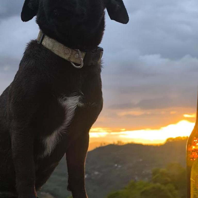 Casa Troya - Casa de 4 dormitorios - 15