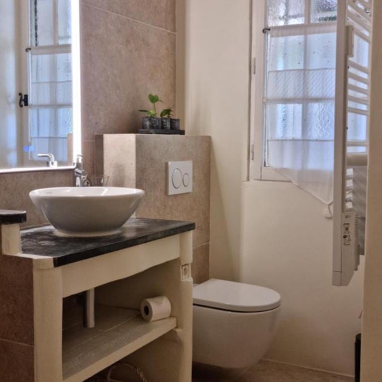 Le Jas des Parpaillous - Apartamento Superior - 23