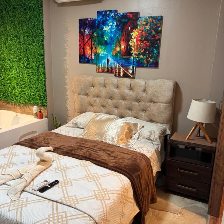 Nuevo y Renovado apartamento con jacuzzi - Apartamento de 1 dormitorio - 6