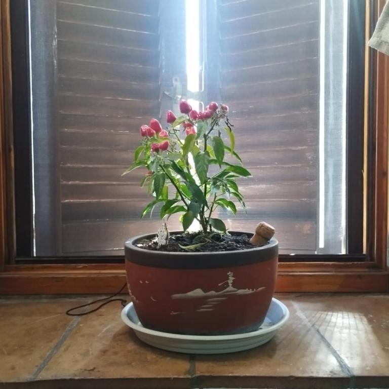 La Casa di Fabiola - Appartamento con 1 Camera da Letto - 35