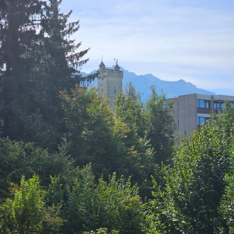 Premium Apartments - Pilatus View - AC - Apartment mit 1 Schlafzimmer - 16