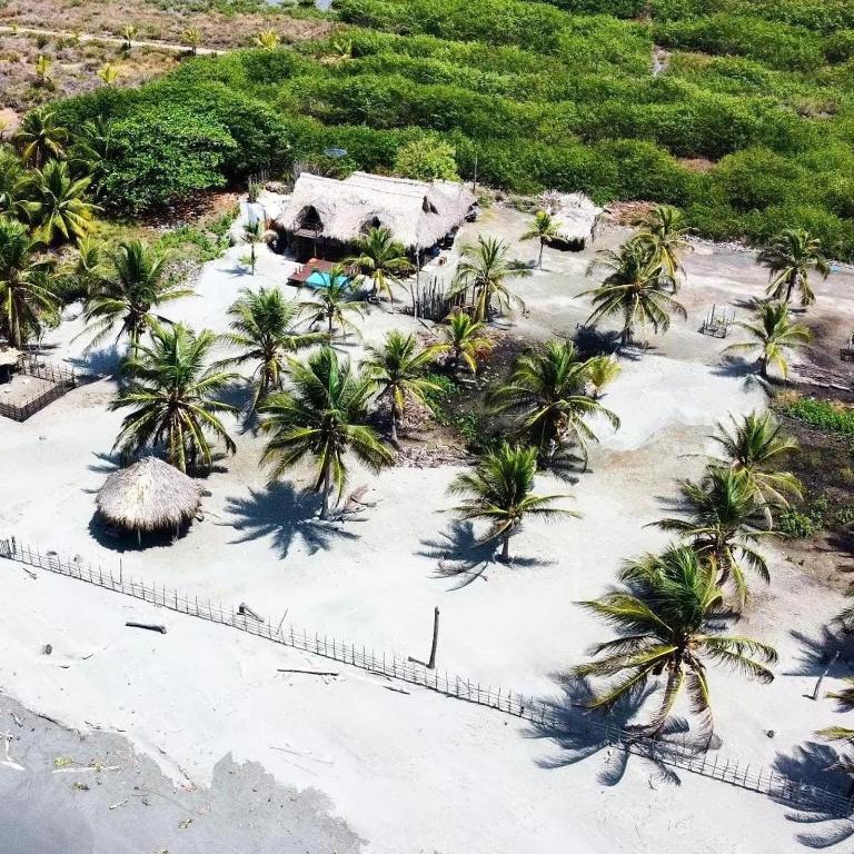 Coco y arena cabaña frente al mar, lejos del turismo y cerca a los manglares - Casa - 16