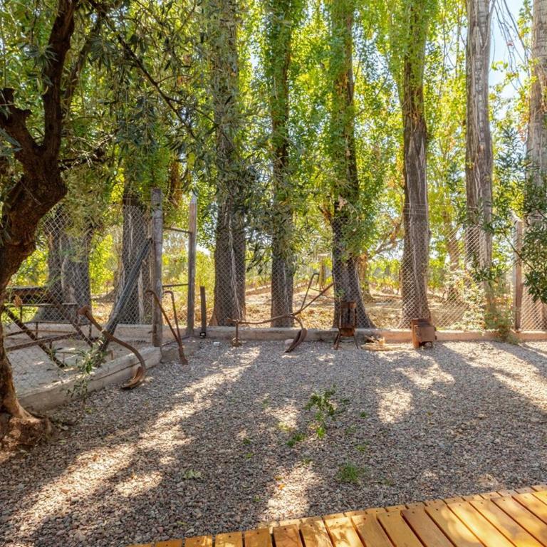 Tiny House Las Compuertas - One-Bedroom House - 23