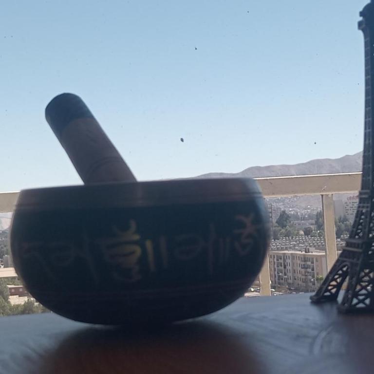 Departamento excelente vista de la ciudad copiapó - Apartamento de 2 dormitorios - 7