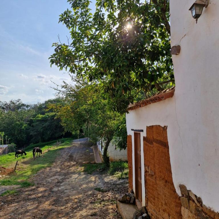 Casa Coraje - Apartamento de 2 dormitorios con vistas al jardín - 5